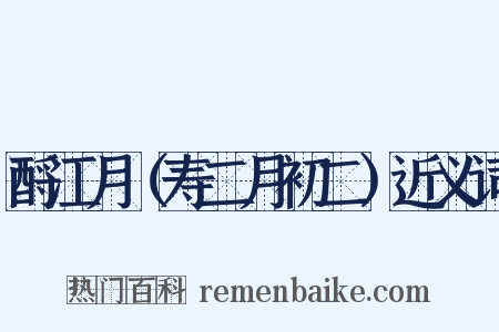 酹江月（寿二月初二）近义词是什么意思的图片